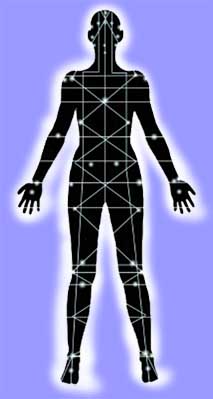 Axiatonal Lines Of The Body